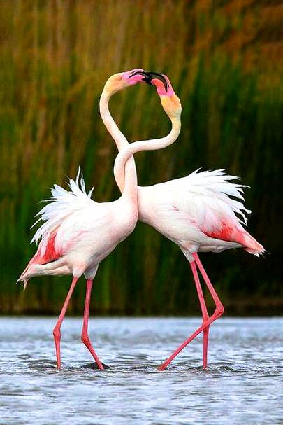 Beautiful phOtoGraPy...❤