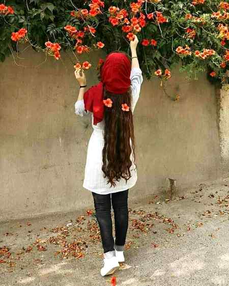 °•🌸🎀🔥•°

 " آپ سے پاکیزگی کا تعلق ہے
آپ تو سہری کی دعا ہیں میری 💕