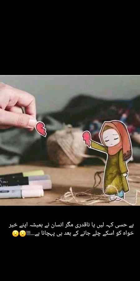 خیر خواہ کی قدر۔۔۔۔۔۔