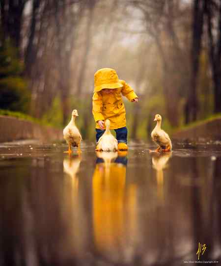 A heart touch picture 🔥🔥..In rain a child spend a time with beautiful ducks... Children's don't know that is good or bad for them but in this picture it's show the love for animals ...that they deserve .. Without animals our world is looked like desert where no one is present in day🔥🔥 Aimen 🔥 khan