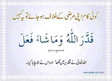 Kabhe kabe Apne mrze k khilaf kamo may bhe Allah ajjawajal ke hikmt posheda hote hay