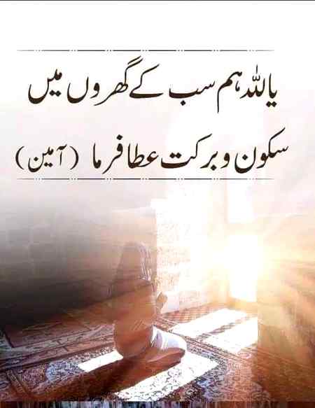 hlo friends