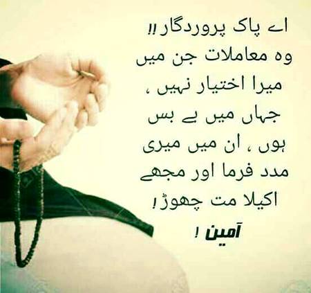.q4 All❣️❣️