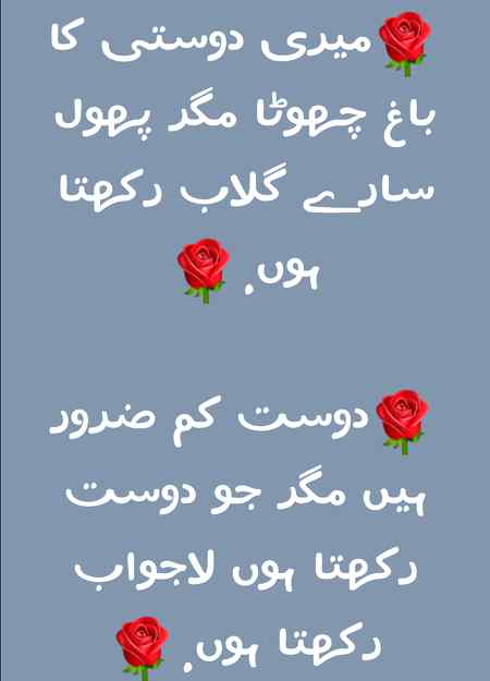 Lajawb hai✌✌❤❤❤