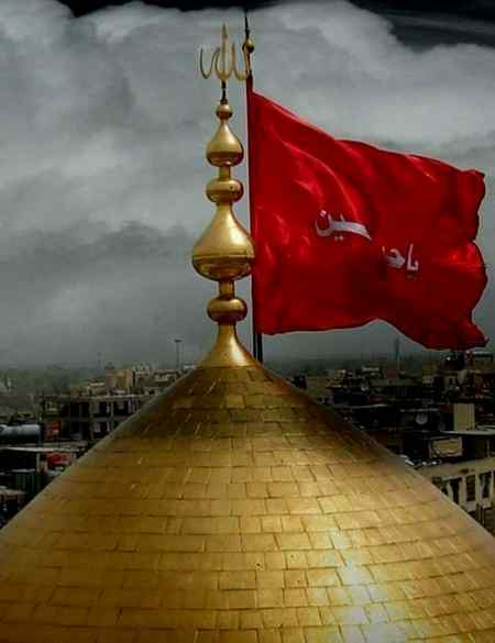 تاریخ کربلا سے بھی جو آشنا نہیں 
اس کے لئے تو جینا کسی کام کانہیں
تاریخ انقلاب کوئی پڑھ کے دیکھ لے 
تاریخ میں حسین کوئی دوسرانہیں
❤️