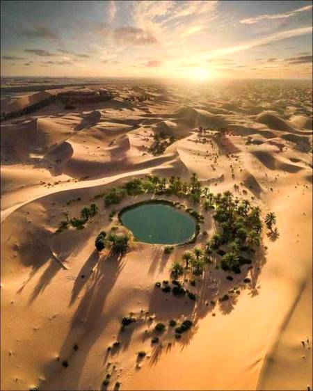 Nothing Awesome photography 🔥