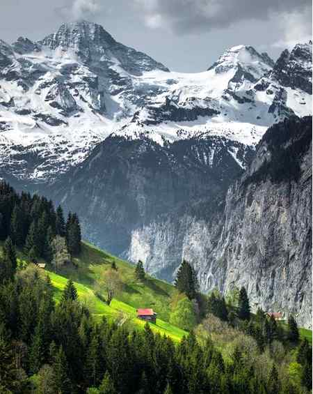 Lush alpine valley , wengen Switzerland