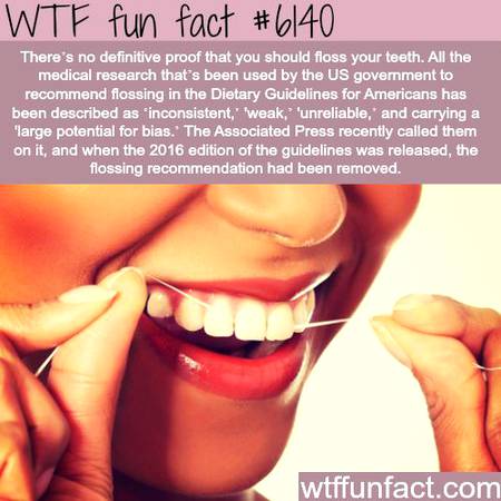 WTF fun fact
