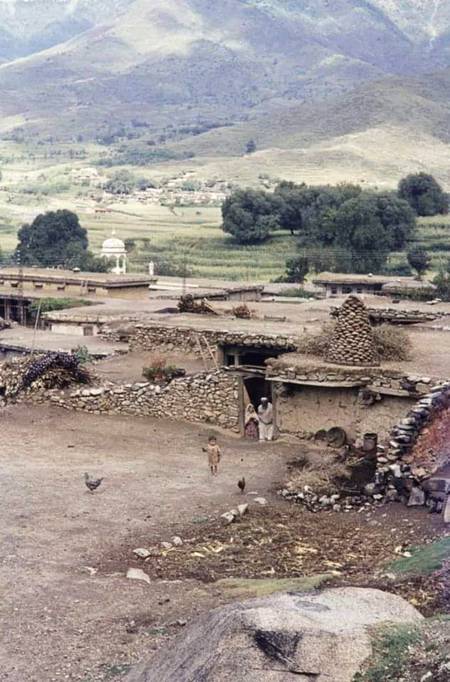 سیدو شریف 1960