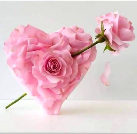 ✨محبت کا ہر آنسو اس بارگاہ محبت میں معتبر ہے..  خواہ وہ بے کَسی کی حالت میں بناوٹی کروٹ لیے تکیے میں منہ چھپائے آنکھوں کے گوشوں سے ہوتا بالوں کو تر کرتا تکیے میں جذب ہو جائے... 
یا بے بسی کے عالم میں زمین پر سر بسجود بلک جائے- محبت کو ہی وہ کمال حاصل ہے کہ وہ بلکتے آنسو چوم لے, بے بسی کو گلے لگا لے, سچے جذبے سے زمیں پر روندا سچا اشک اس عرش والے کو بہت سجتا ہے...!
رب کو اخلاص و محبت پسند ہیں... اور محبت سے بڑی کوئی عطا نہیں جو دل کو خالص کردے.💫💖💖💖💖💖💖