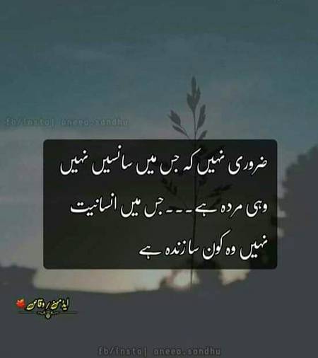 Nice word
