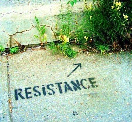 Nature finds a way as always