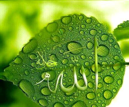 *🌱رب سے جڑنے والے مشکلات سے گبھراتے نہیں
*پریشانی درجات بلند کرتی ھے*
*ہر چھوٹی مشکل رب کے حکم سے کسی بڑی مشکل کو انسان سے دور کرتی ھے*
*انسان کو صبر کا موقع ملتا ھے*
*آخرت کا انعام لکھ لیا جاتا ھے* 
*اور پہلے سے بہتر دنیا ملتی ہے۔*
*🌿الحمدللہ🌿*