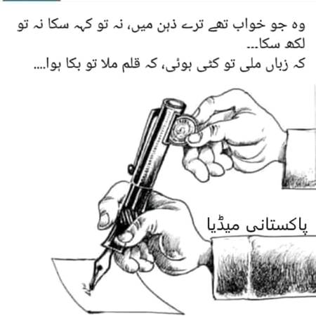 Pakistani Media