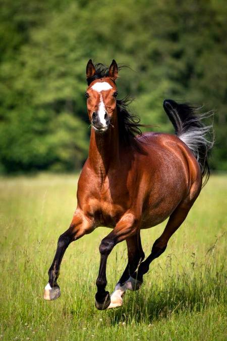 Photography 💕💕