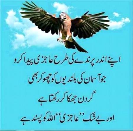 Ajazi say hasil hota hai makam Aaly yuhe shahi nahen milty