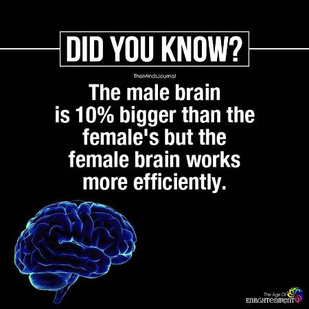 Did you Know