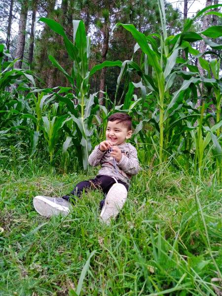 My shonu "ARDAAS" .m5 .m1