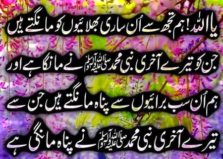 🌹🌹🌹صلی اللہ علی حبیبہ محمد نور من نوراللہ وعلی آلہ واہل بیتہ وعترتہ وازواجہ وصحبہ وجدہ وذریتہ و کل امتہ وبارک وسلم کثیراً کثیرا و دائماً ابدا 🌹🌹🌹