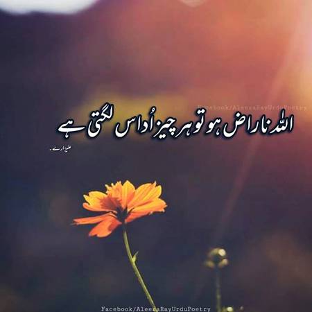 Ya Allah pak mujh se razi ho jay😭😭😭😭