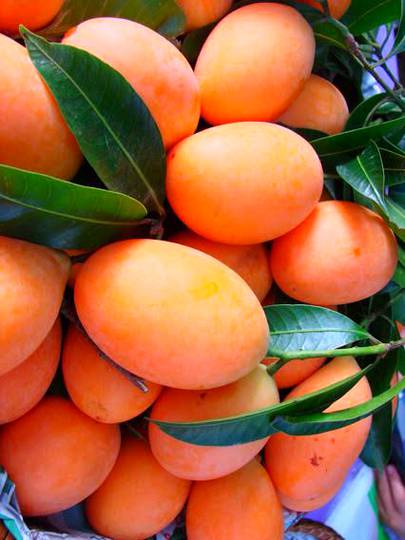 Mangoes..looking pure and fresh