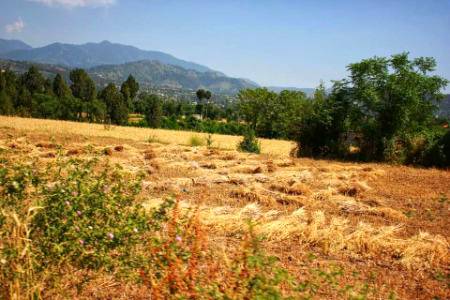 View
Clicked By Umer🔥