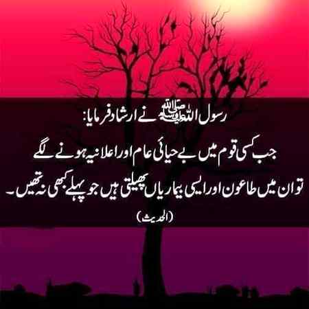 hlo.friends