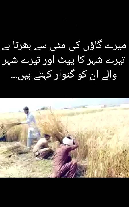 Haqeeqat...