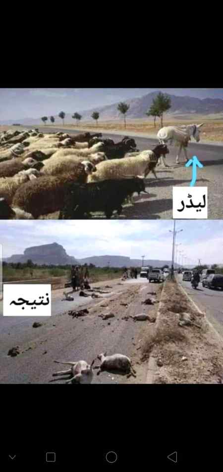 Leadr or natija...