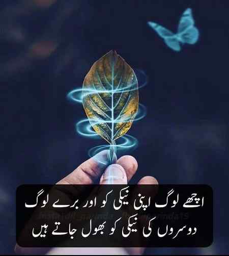 Assalamu Aalikum 🌼💝🌼