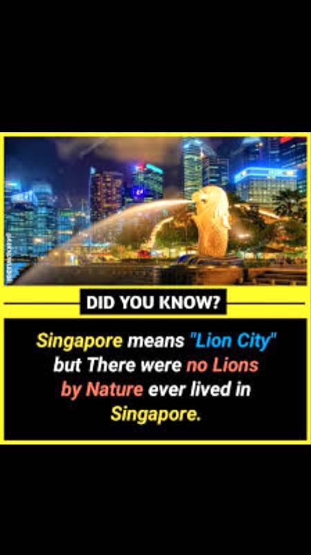 🦁 LiOn CitY