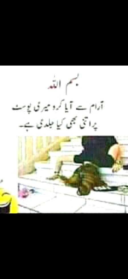 Becharii gir gae aram sy aya kro na🤭🤭😜