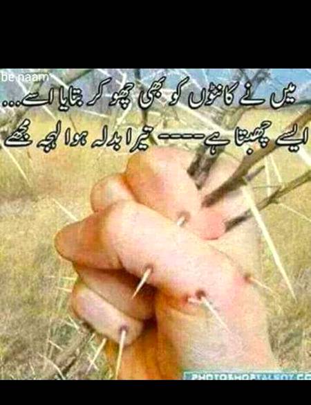 میں نے کانٹوں کو بھی چھوکربتایا اسے...ایسے چھبتا ہے ...تیرا بدلہ ہوا لہجہ مجھے🙏🏼👊