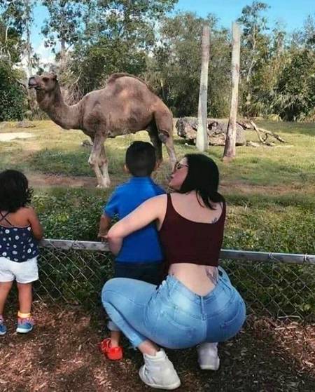 قربانی کے جانوروں سے اپنے بچوں کو
تھوڑے فاصلے پہ رکھیں 🐪🐪