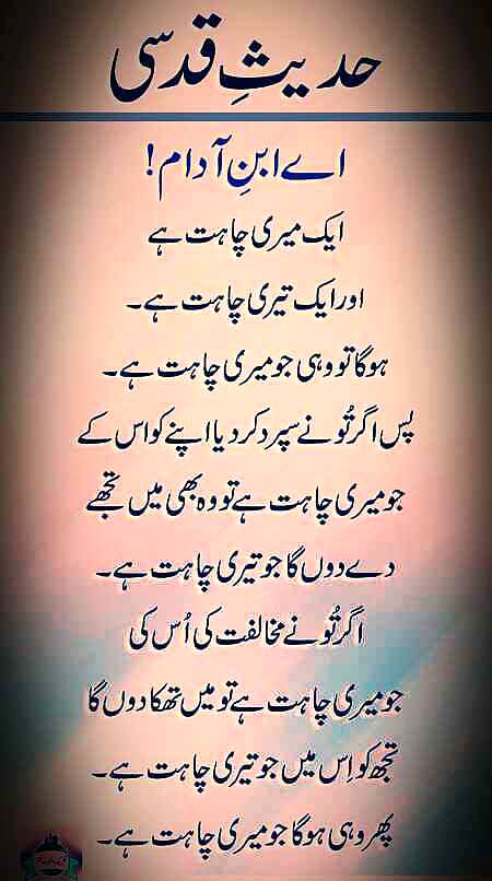 Mehar Zada