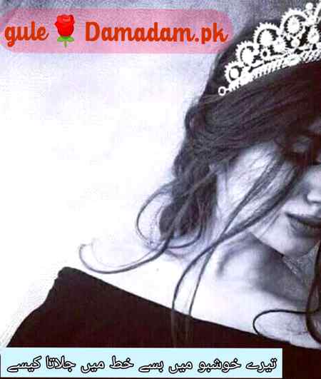 gule🌹Damadam Lover🔥