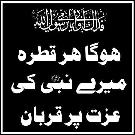 hlo friends