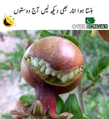 Sending by fareed ahmed shaikh