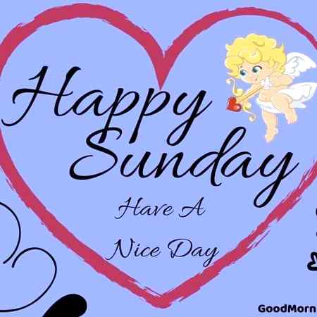Assalam o Alaikum all I m back🏵️🥀🏵️💮💮🏵️🏵️🥀🥀🌸🌷💐🌺