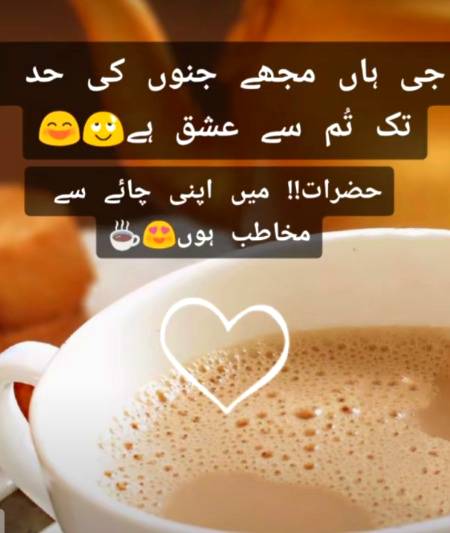 جی ہاں مجھے جنون کی حد تک