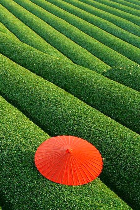 Incredible place 💕💕