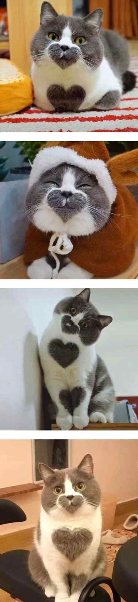 Cute 😘😋💕💕