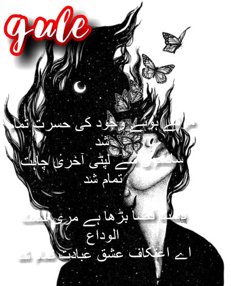gule💕Damadam Lover🔥