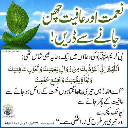 🌹🌹🌹صلی اللہ علی حبیبہ محمد نور من نوراللہ وعلی آلہ واہل بیتہ وعترتہ وازواجہ وصحبہ وجدہ وذریتہ و کل امتہ وبارک وسلم کثیراً کثیرا و دائماً ابدا 🌹🌹🌹