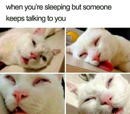 Reply that friend