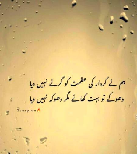 Dhokybaaz nai hun 😏