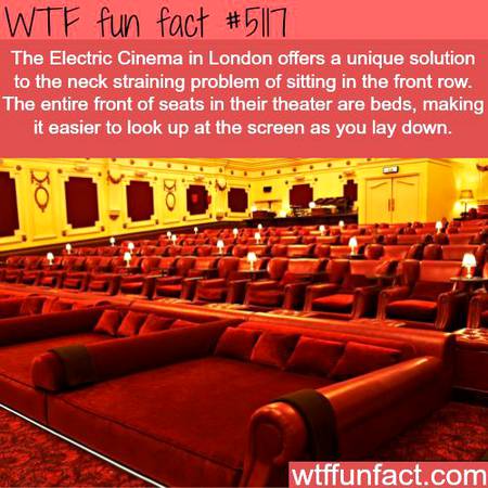 WTF fun fact