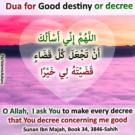 💞,(◍•ᴗ•◍)❤. 🤲