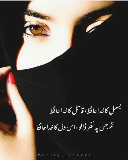 💫💥💫💥💫💥💫💥💫💥💫💥💫💥💫