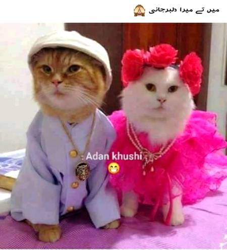 Me and my Future wife